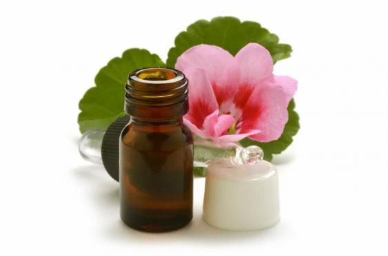 hinh-tinh-dau-phong-lu-nguyen-chat-(geranium-essential-oil)